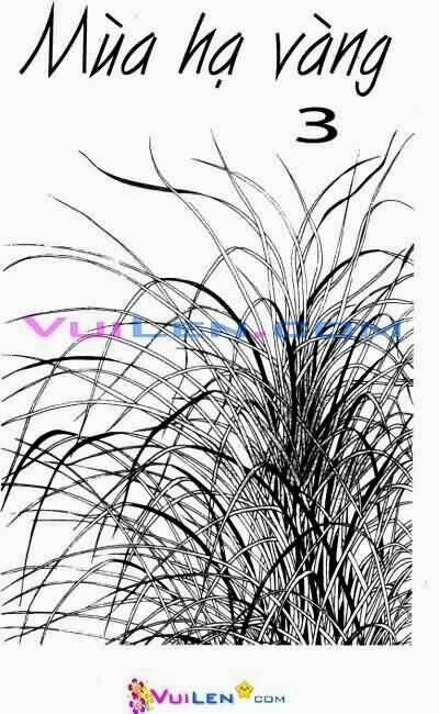 mùa hạ vàng chapter 3 2