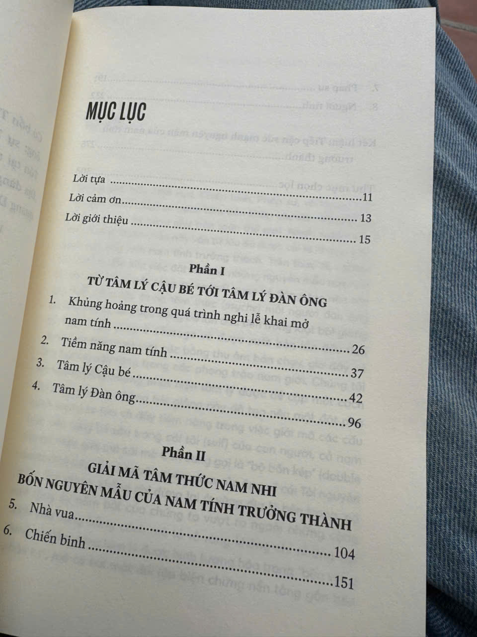 NHÀ VUA, CHIẾN BINH, PHÁP SƯ, NGƯỜI TÌNH – Robert Moore, Douglas Gillette – Cao Việt dịch – Nhã Nam – NXB Thông Tấn