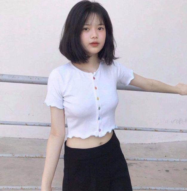  Áo croptop cúc nhiều màu đơn giản 