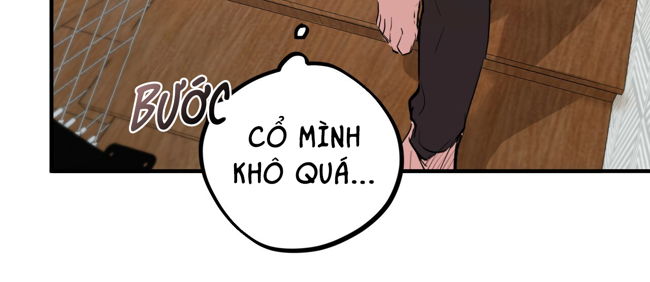 những chú thỏ của hapypy chapter 15 63