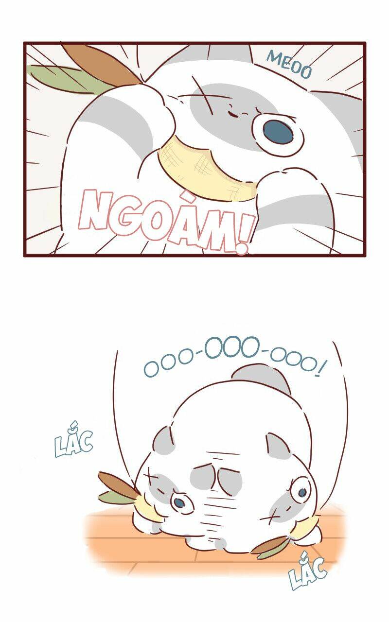 saphie: chú mèo một mắt chapter 27 8