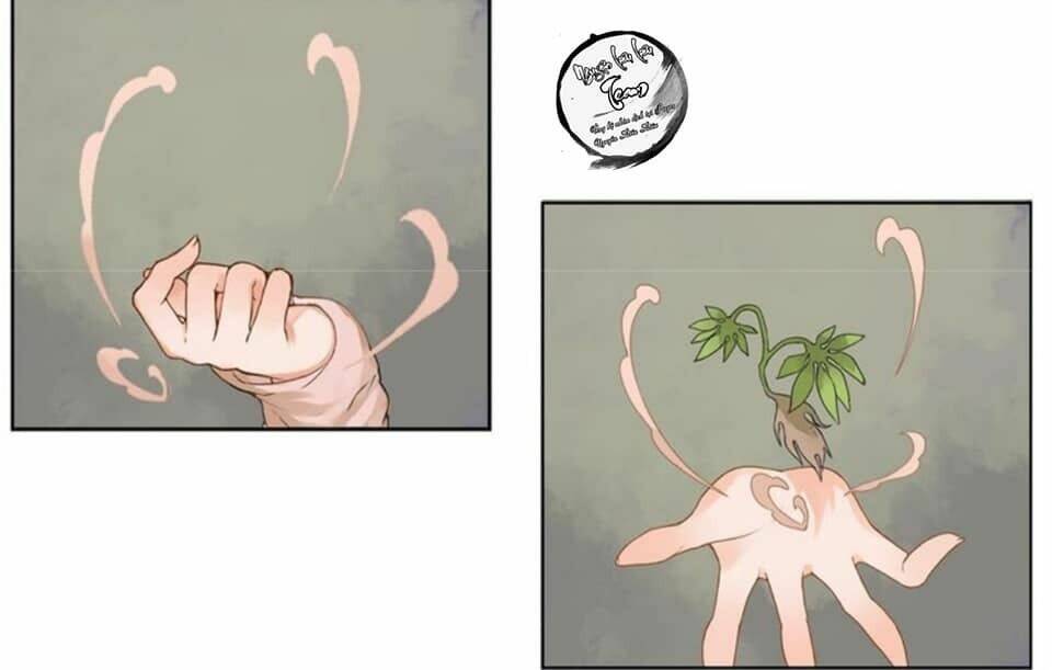 đốt đào hoa chapter 2 11