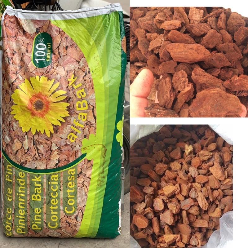 1kg VỎ THÔNG HÀ LAN ALFABARK ĐỦ 3 KÍCH THƯỚC VỎ TIÊU CHUẨN