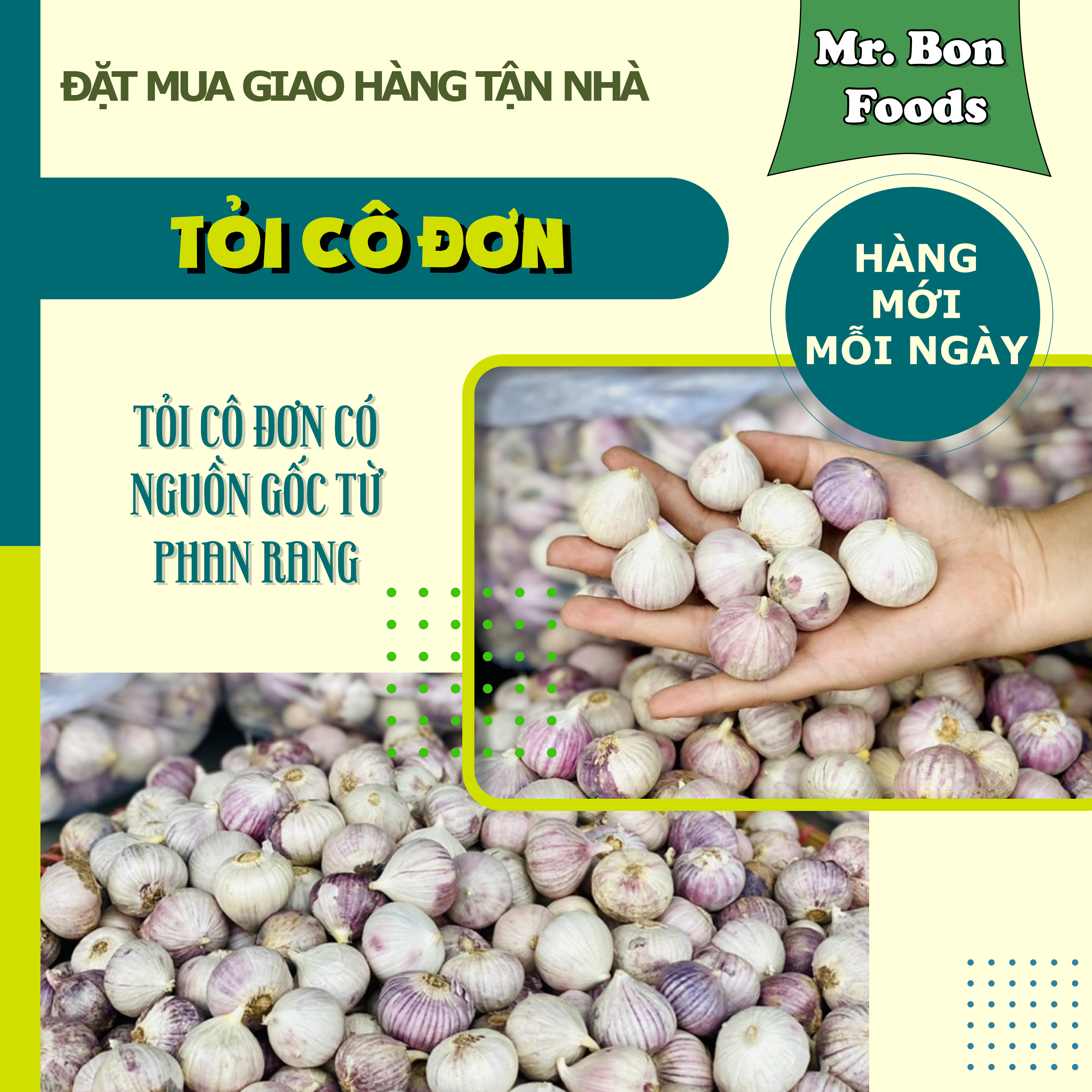 Tỏi Cô Đơn - Đẹp Loại 1, Lựa Từng Củ Đều Nhau