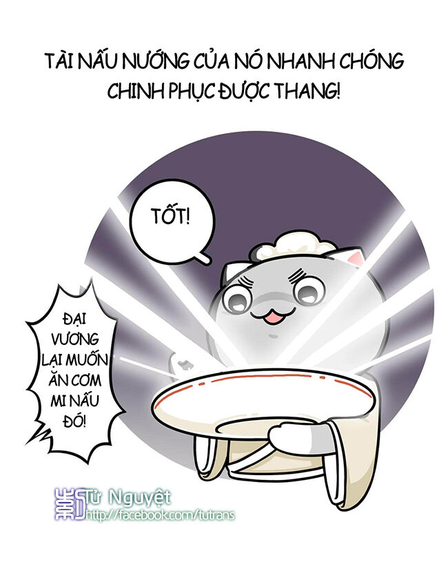 nếu lịch sử là một bầy mèo chapter 8 17