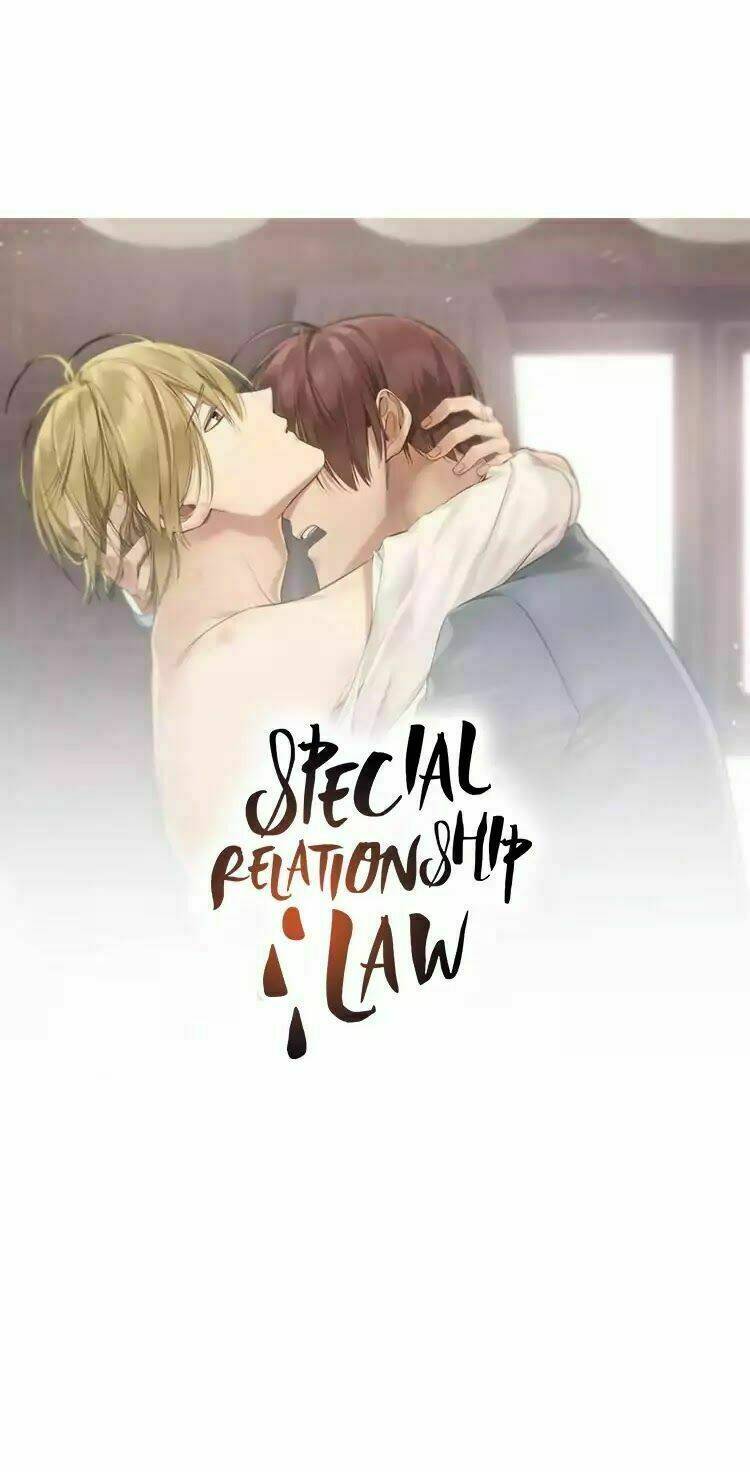 special relationship law chapter 1 3