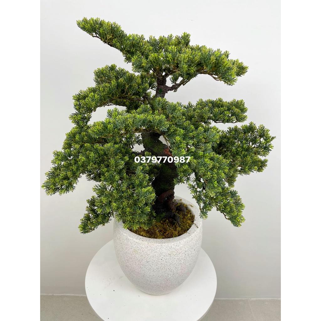 Cây Tùng Giả Lá Ngắn, Cây Bonsai giả Decor trang trí nhà cửa