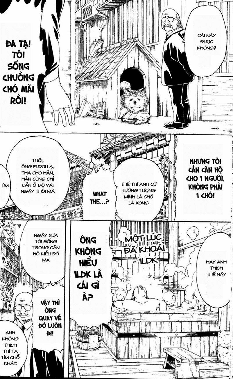 gintama - linh hồn bạc chapter 230 8