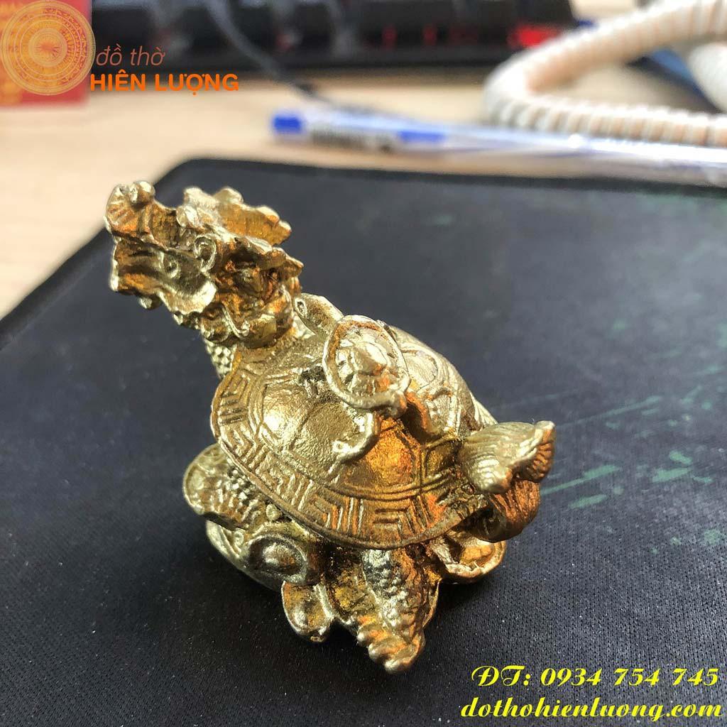 Long Quy Mini - Rùa Đầu Rồng