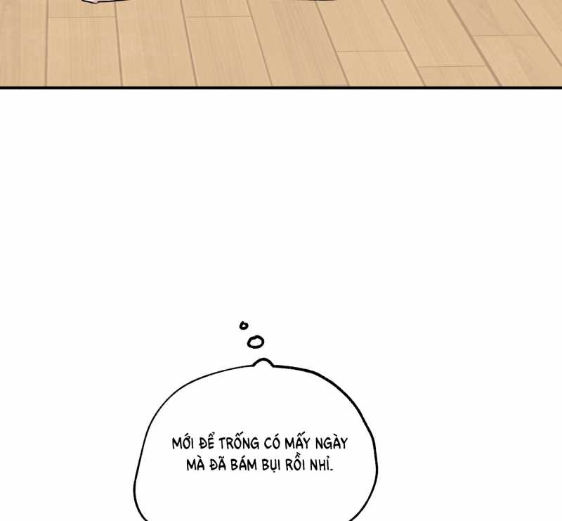 đêm bên bờ biển chapter 70.2 23