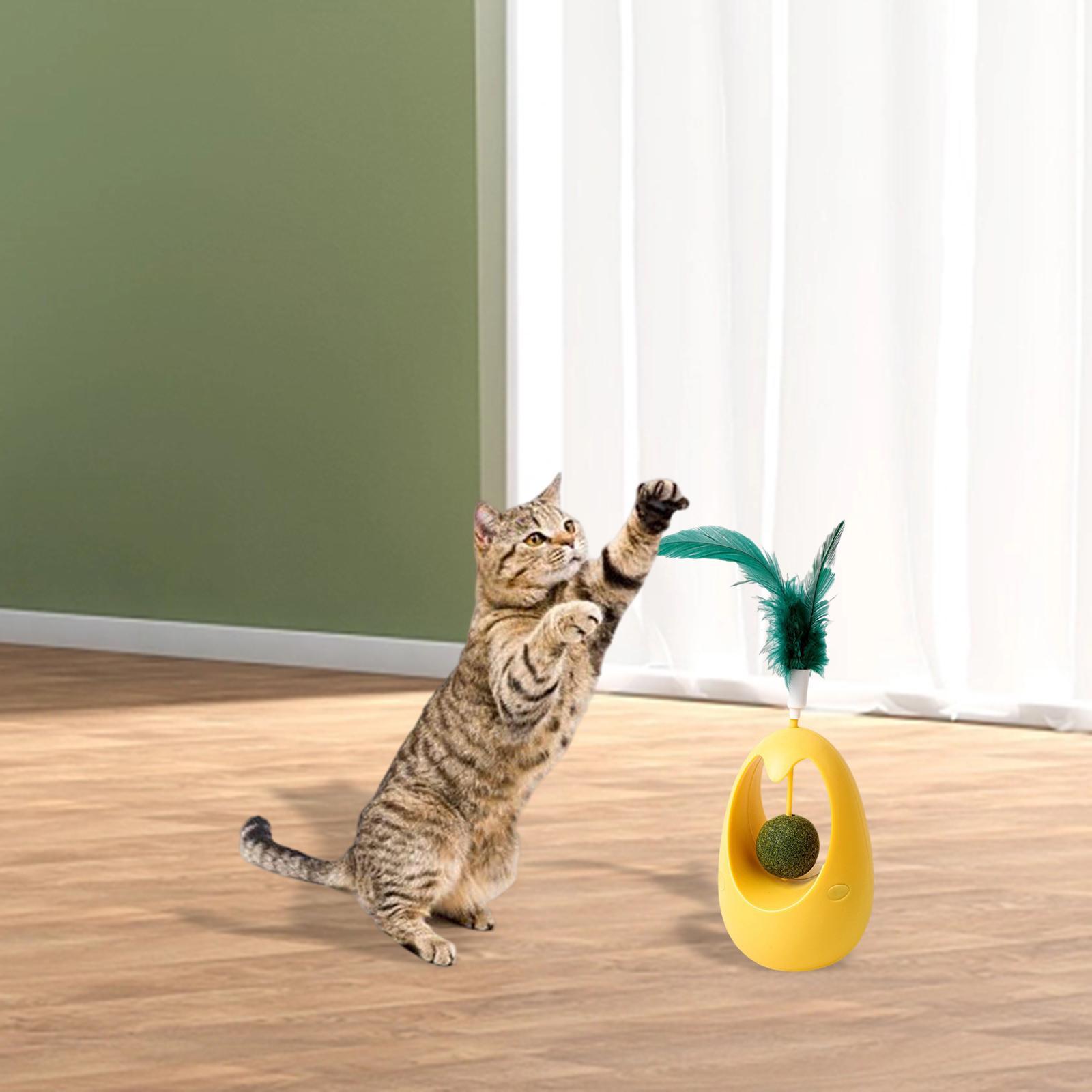 Interactive Cat Toys Pet Toy with Catnip Balls for Cats and Kitten Training