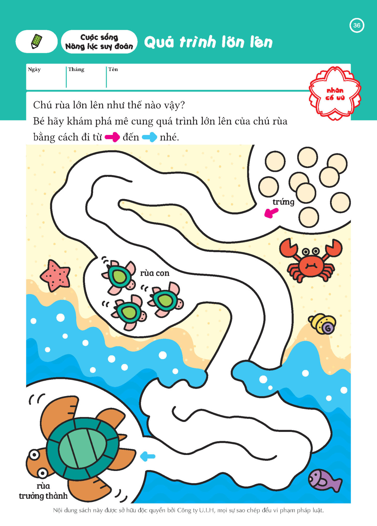 SÁCH THIẾU NHI CHO TRẺ 3-4 TUỔI_Tư duy