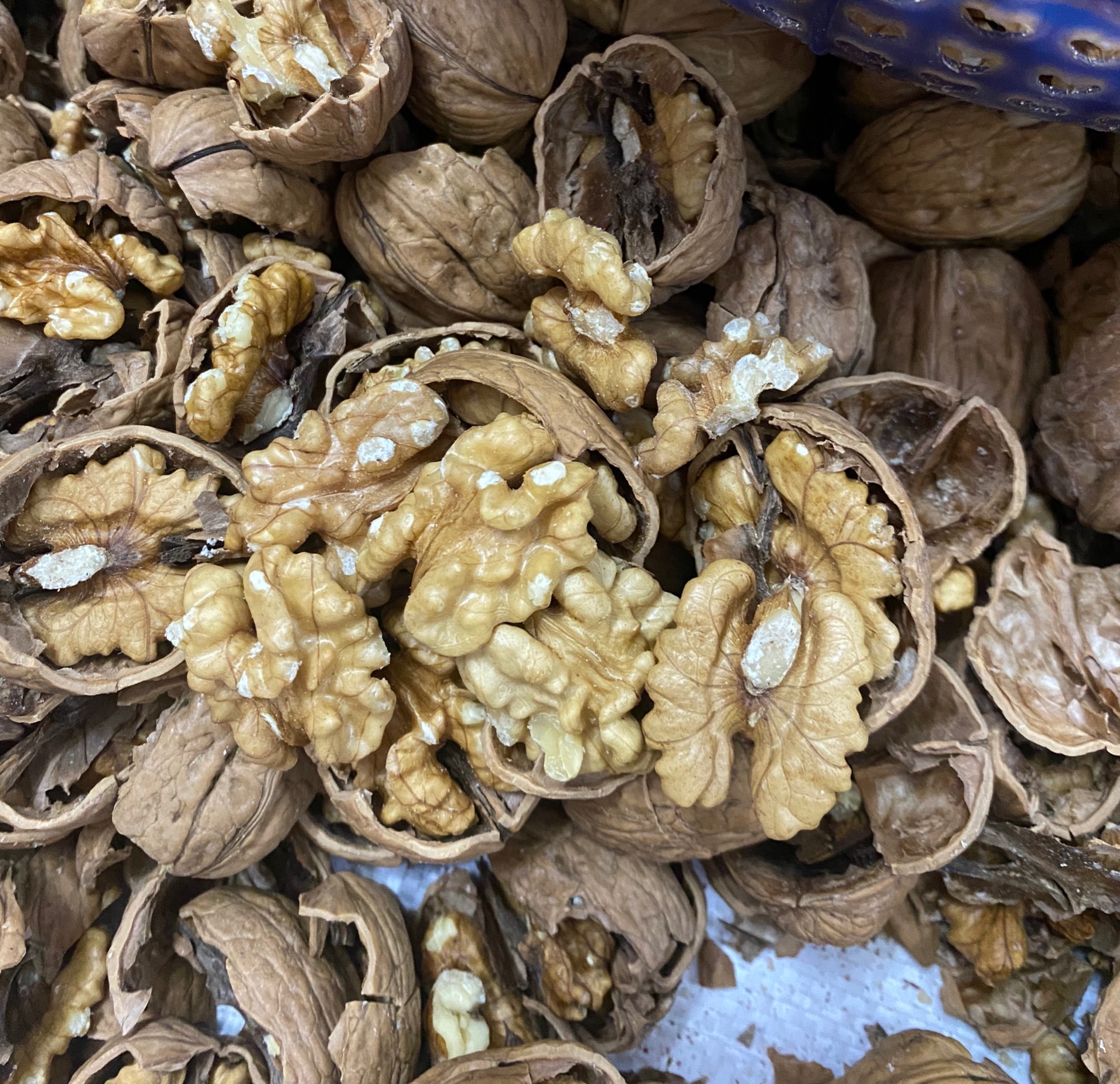 Quả Óc Chó Vàng Mỹ Nguyên Vỏ Chuẩn Hàng Nhập Khẩu, Không hôi dầu, Tặng dụng cụ tách vỏ