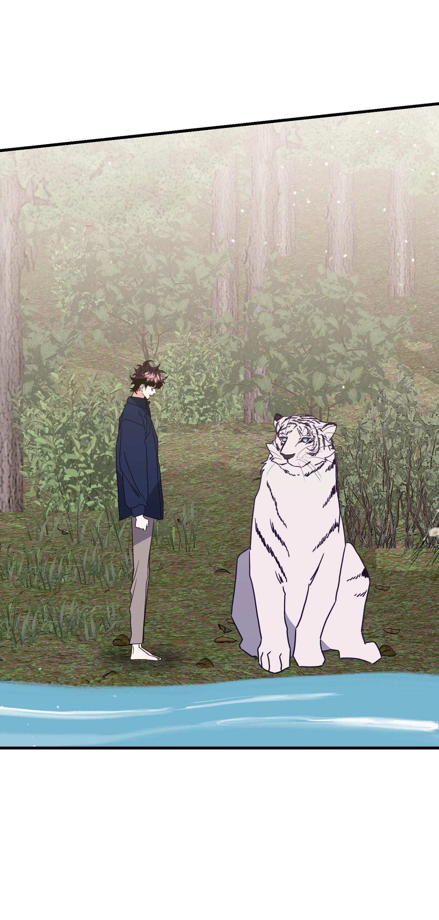 hổ trở về chapter 42 51