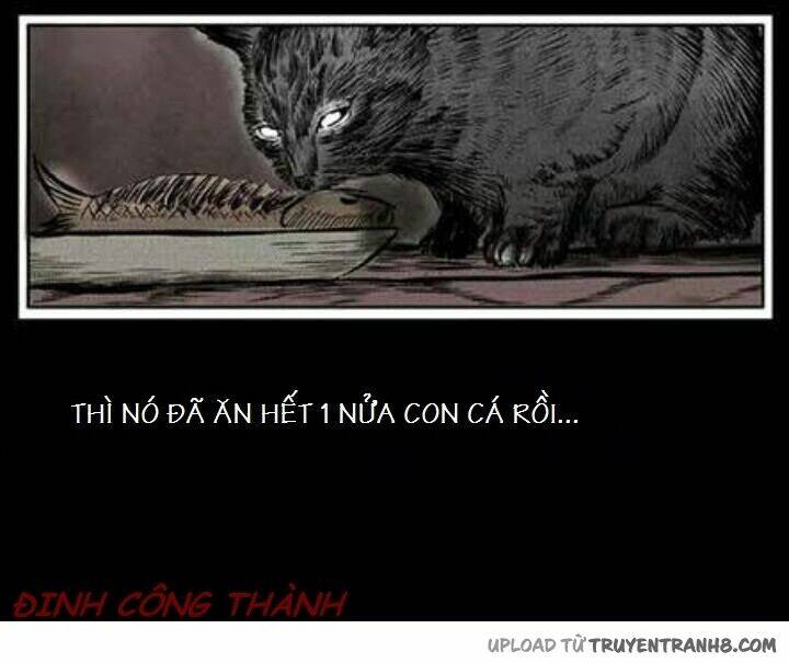 thầy súng kể chuyện ma chapter 2 11