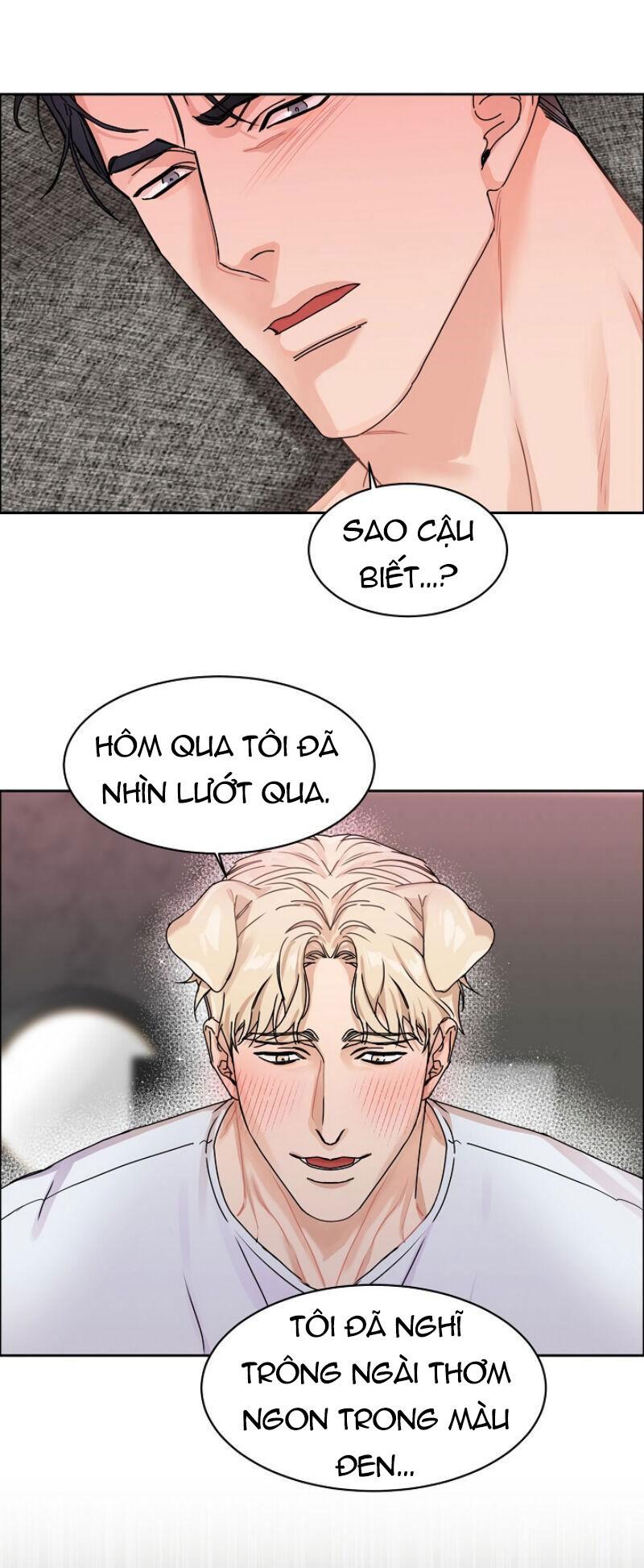 Tuyển Tập Manhwa 18+ chapter 2