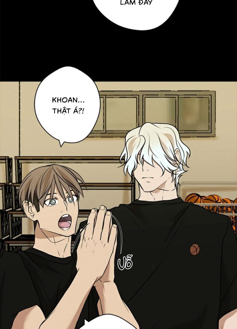 yêu phải kẻ sát nhân bóng rổ chapter 20 95