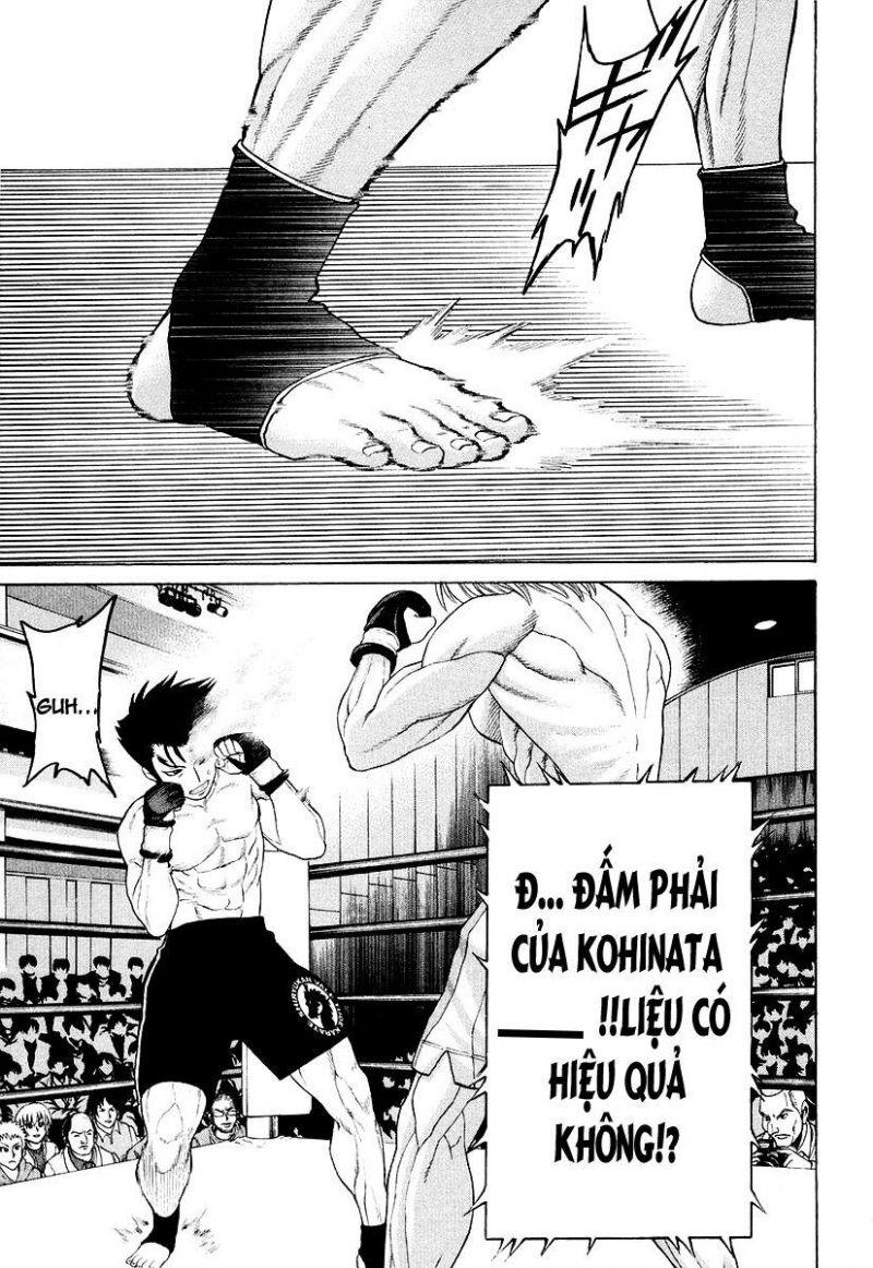 karate shoukoushi kohinata minoru chapter 209 16