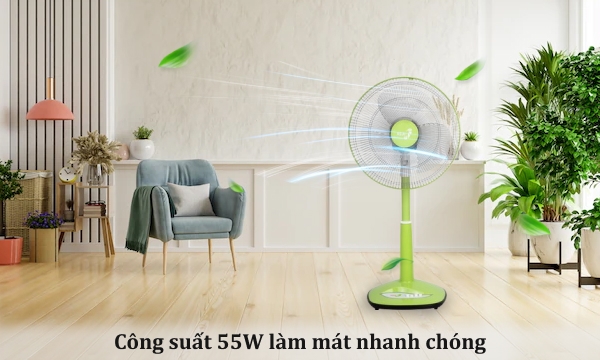 Quạt lửng Asiavina VY358291