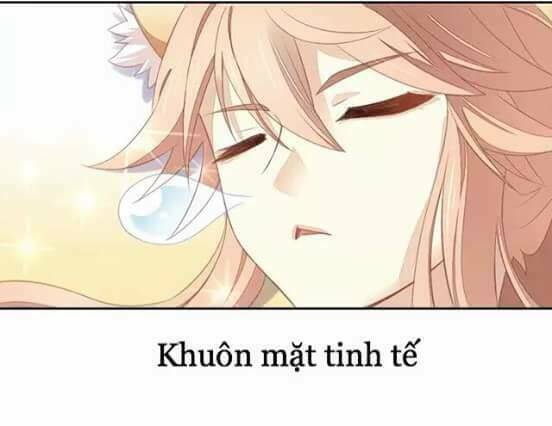 dưới móng vuốt mèo chapter 10 15