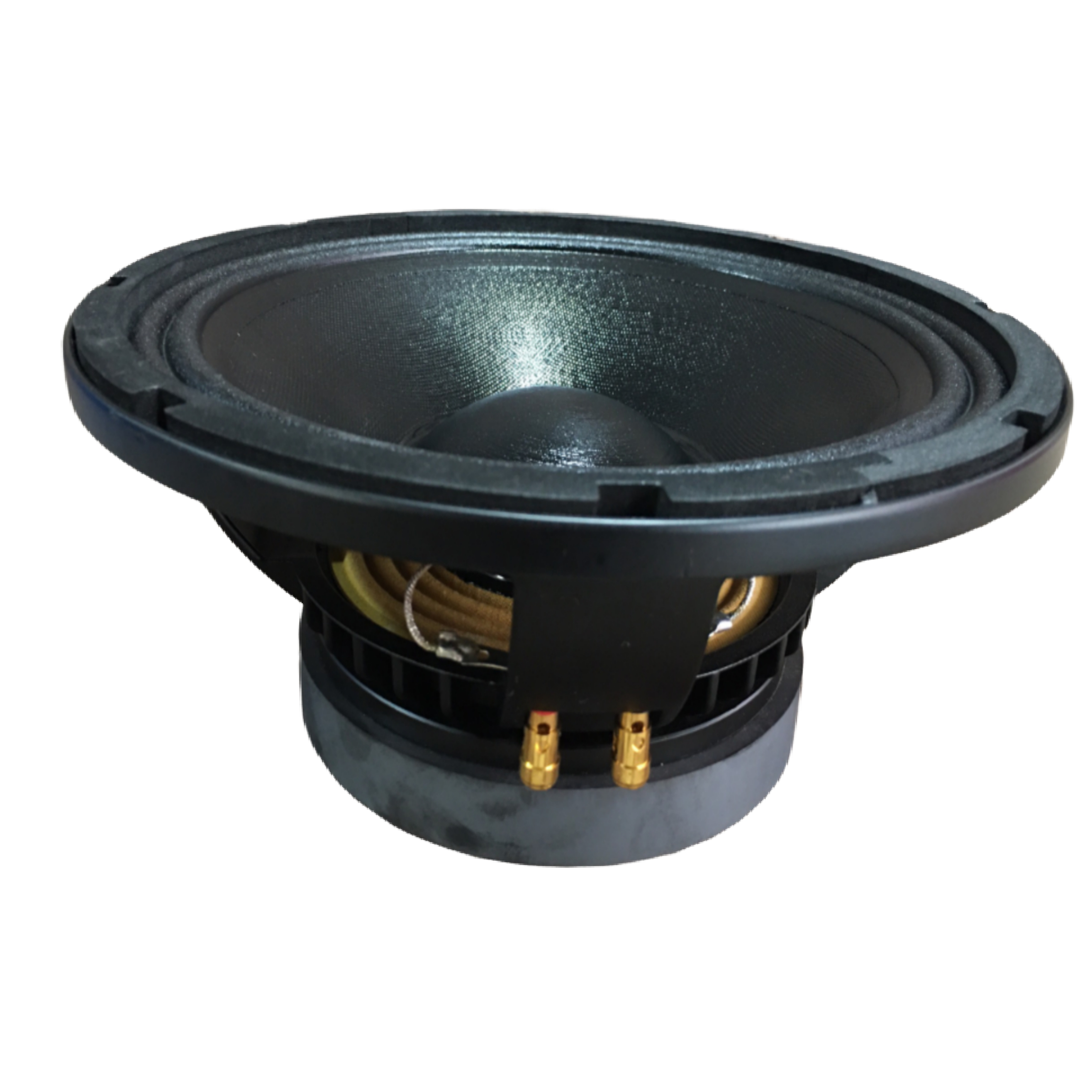 LOA BASS 25 BM TỪ 156 COIL 63 - GIÁ MỘT LOA
