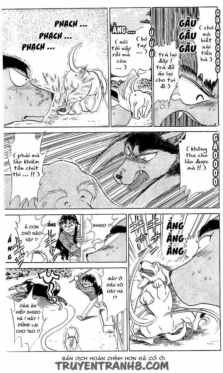 wild half chapter 12 9