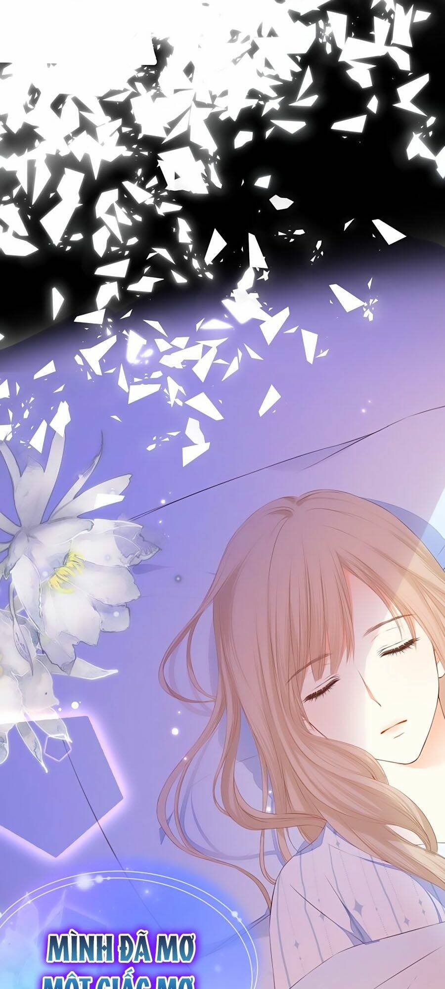 đóa hoa chớm nở chapter 69 24