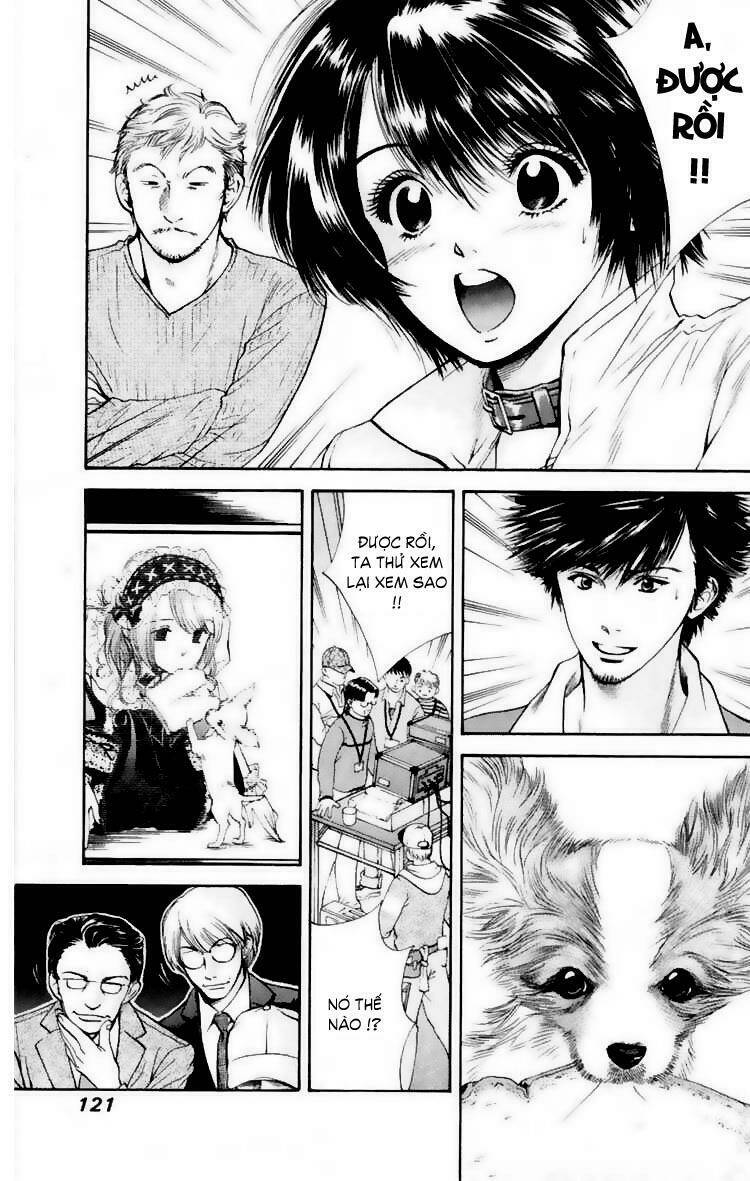 cô nàng yêu chó chapter 15 9