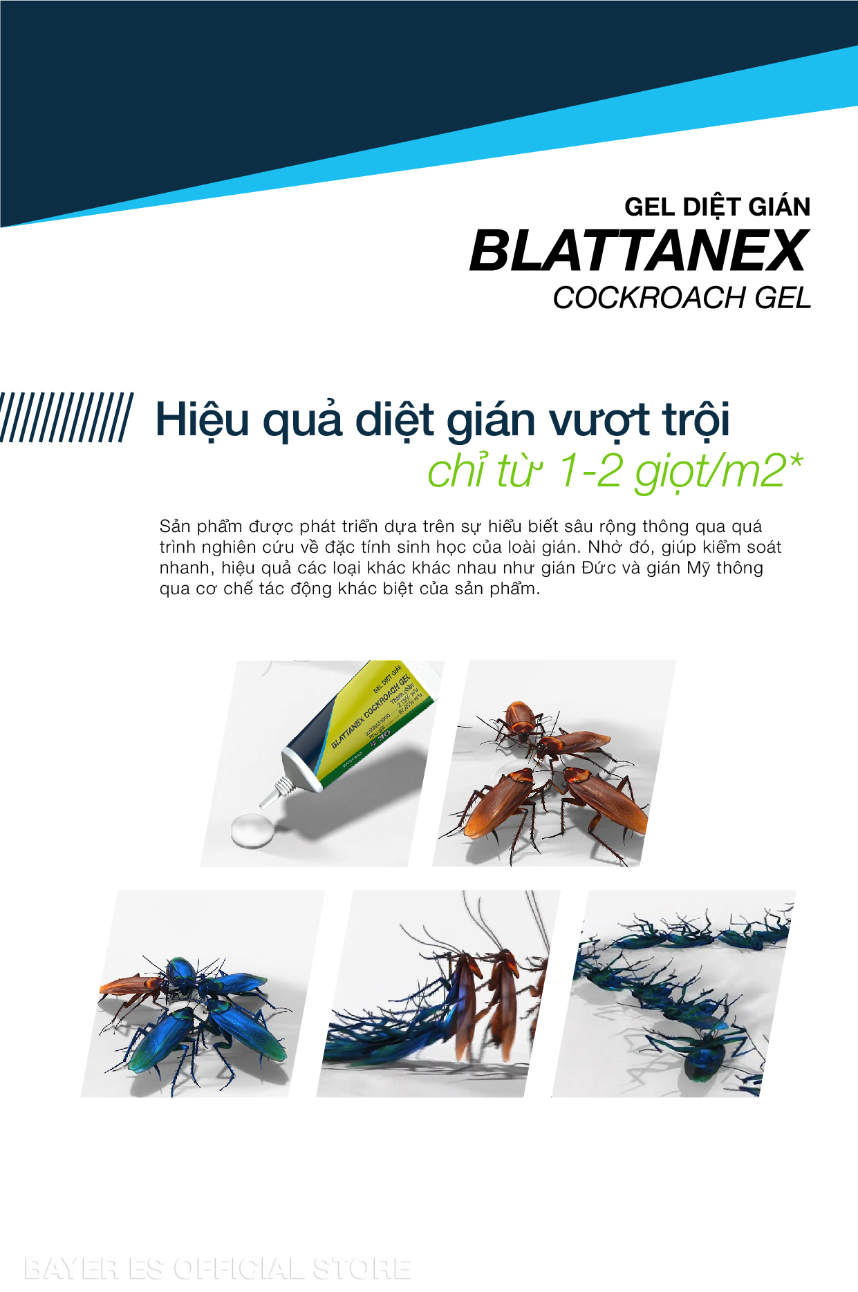 Gel Diệt Gián Blattanex Chính Hãng