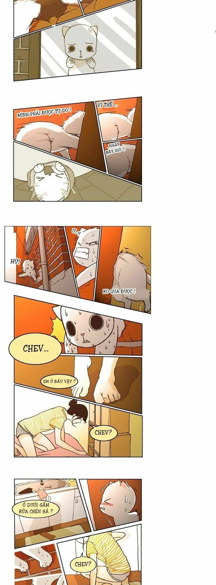 papi nyang chapter 5 3