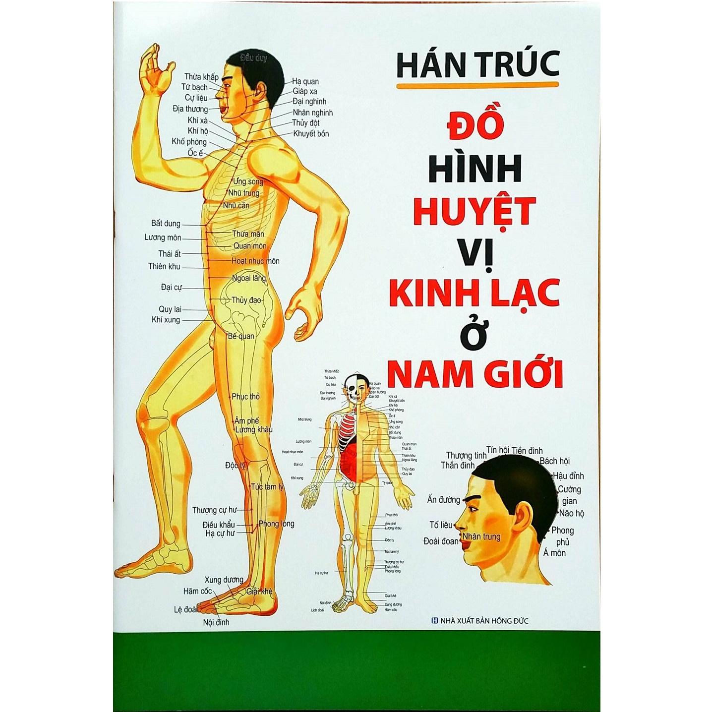 Sách - Đồ Hình Huyệt Vị Kinh Lạc Ở Nam Giới - Hán Trúc