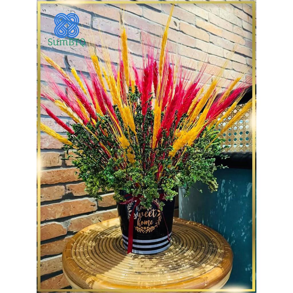 Chậu Hoa Để Bàn Chậu Lúa Mạch Cỡ Trung