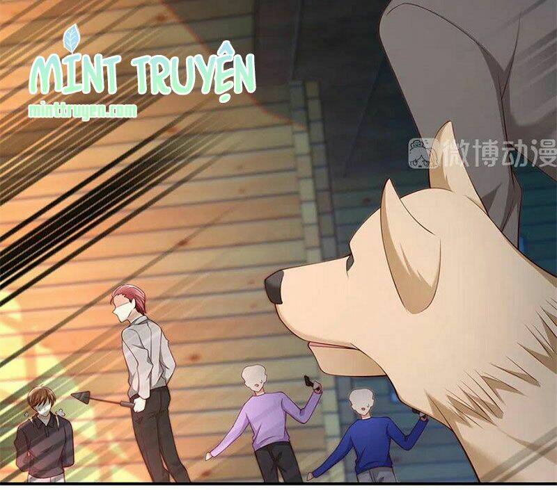 nam thần truy thê chỉ nam chapter 107.2 3