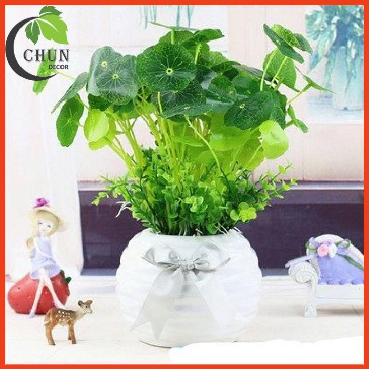 Chậu Cây Rau Má, Chậu Mạ Non Nhân Tạo Để Bàn, Kệ Tủ Trang Trí Nhà Cửa, Cửa Hàng, Văn Phòng, Lớp Học