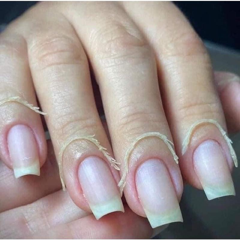 Kìm AAA - phụ kiện nail