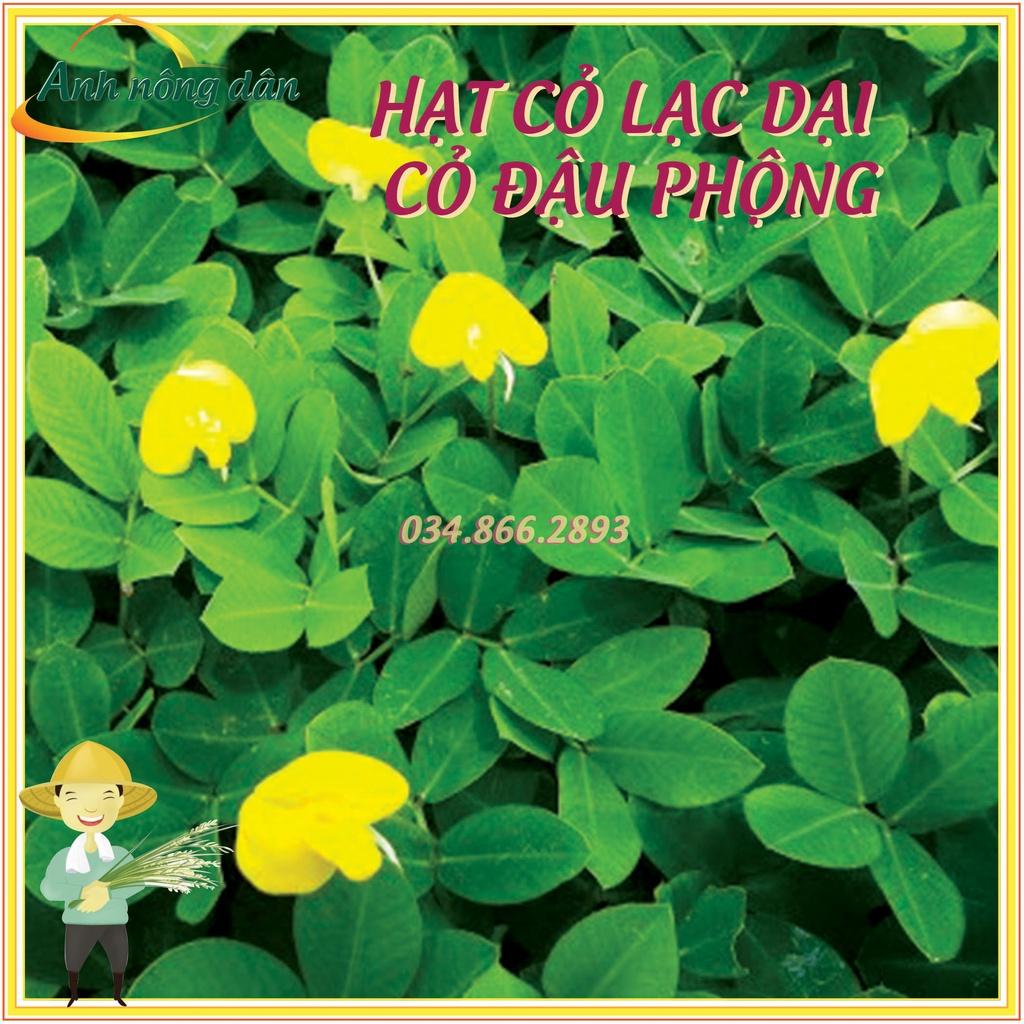 10g Hạt giống cỏ lạc dại - Hạt giống cỏ đậu phộng - Cỏ trồng công trình, sân vưởn