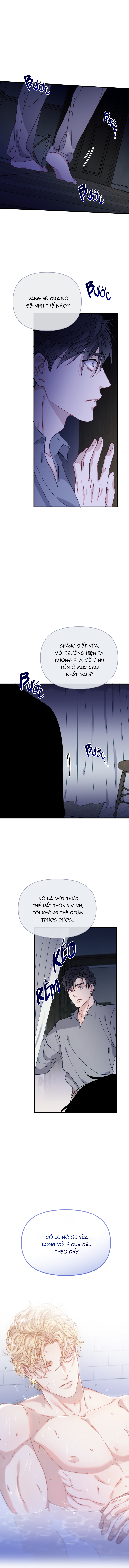 chàng tiên cá trên cạn chapter 1 29