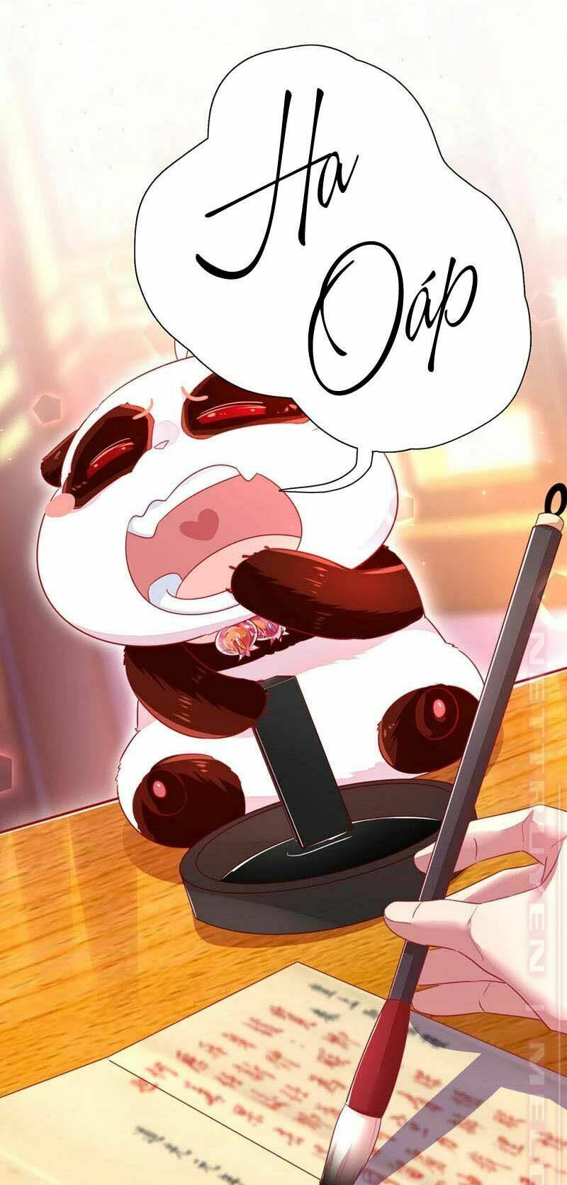 thiên thần gấu trúc muốn được ôm chapter 62 4