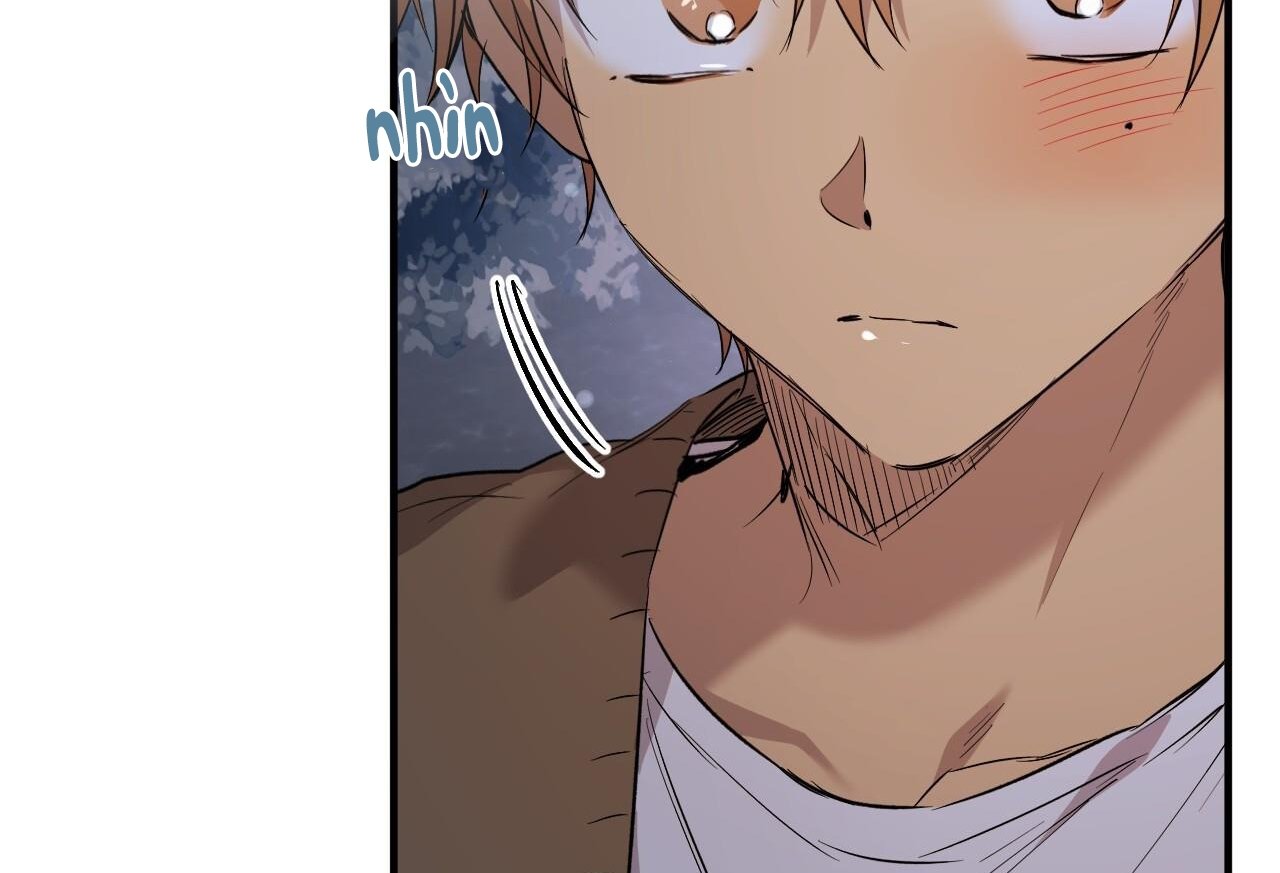 những chú thỏ của hapypy chapter 61 214