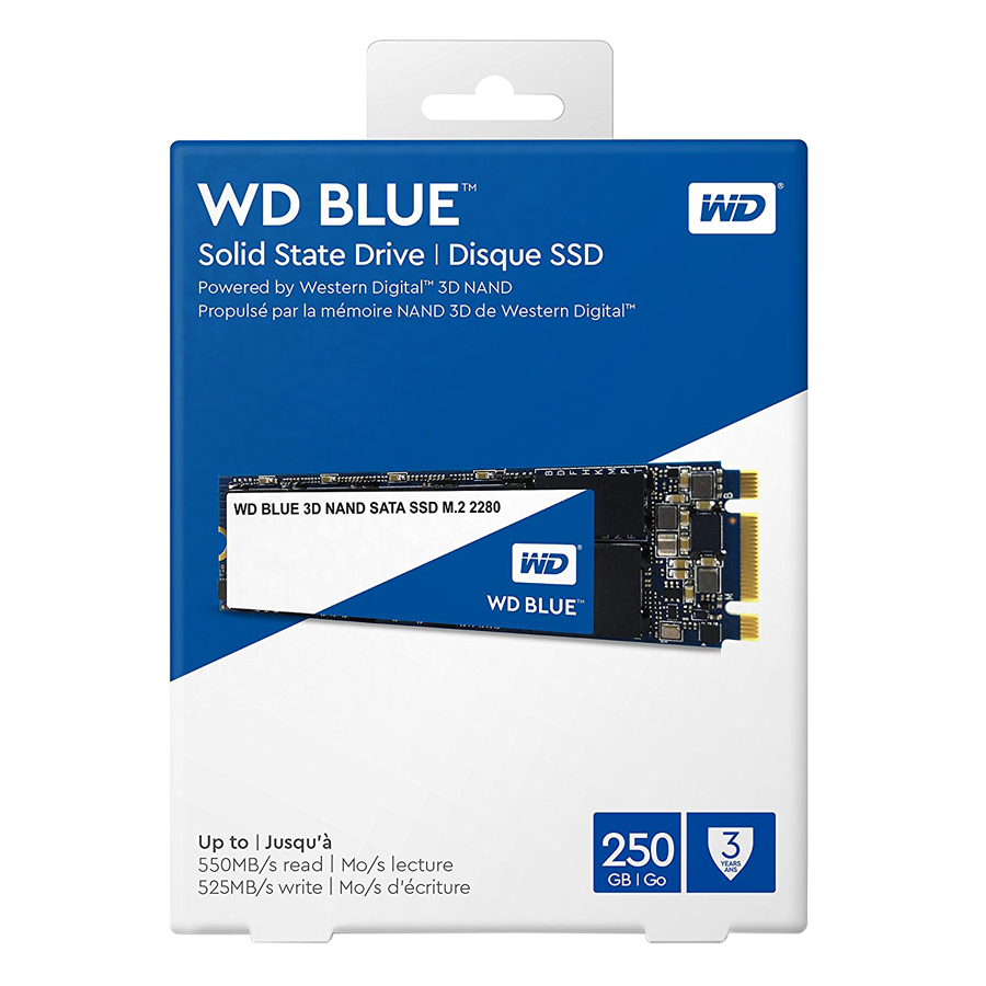 Ổ Cứng SSD WD Blue 3D NAND 250GB M.2 2280 WDS250G2B0B - Hàng Chính Hãng