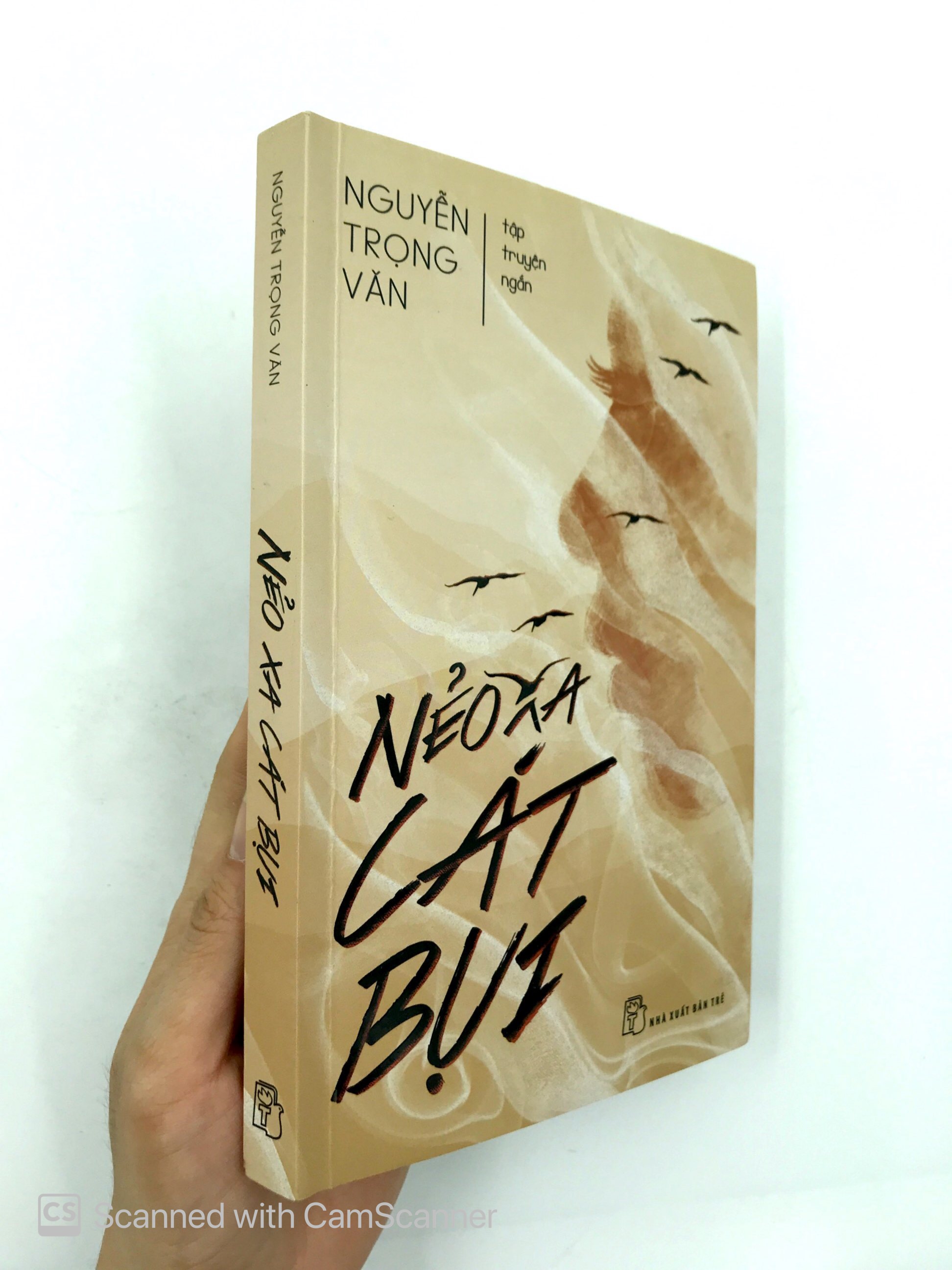 Nẻo xa cát bụi - Nguyễn Trọng Văn