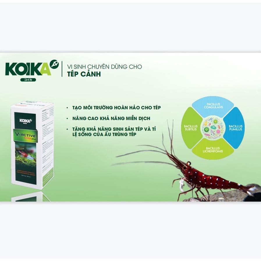 KOIKA V-ACTIVE PLUS | Vi Sinh Chuyên Dùng Cho Hồ Tép Cảnh