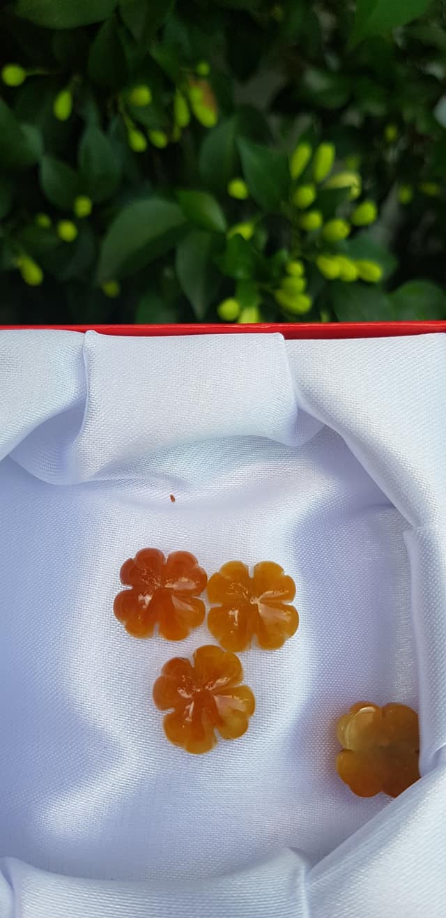 Mặt Bông Hoa cỏ 4 lá màu vàng cam nữ phối vòng tay,làm mặt nhẫn Chất liệu đá cẩm thạch size hạt 14mm x dầy 6mm Nữ về phối với vòng tay của mình đeo hay làm mặt nhẫn mặt dây chuyền đeo xinh ạ