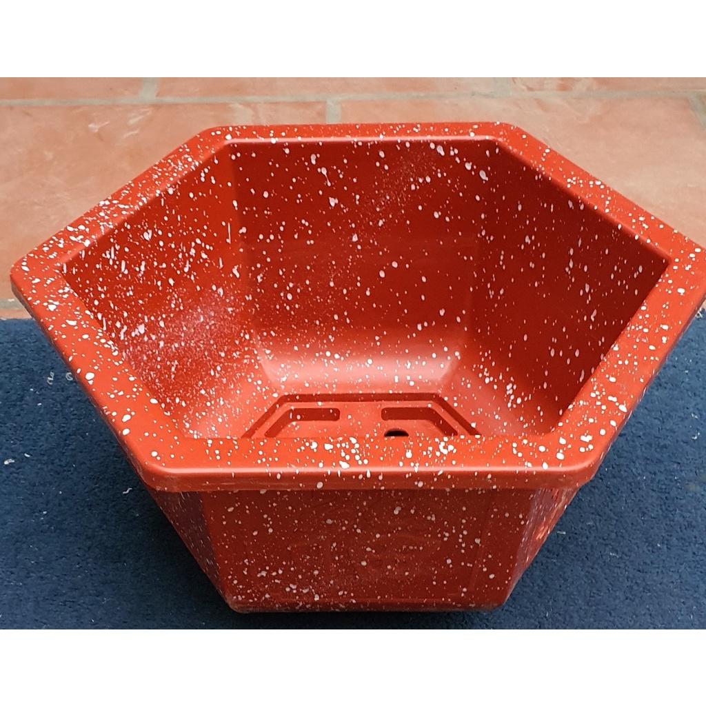 Chậu nhựa Bonsai Lục giác Phúc Lộc Thọ 450 đa sắc màu