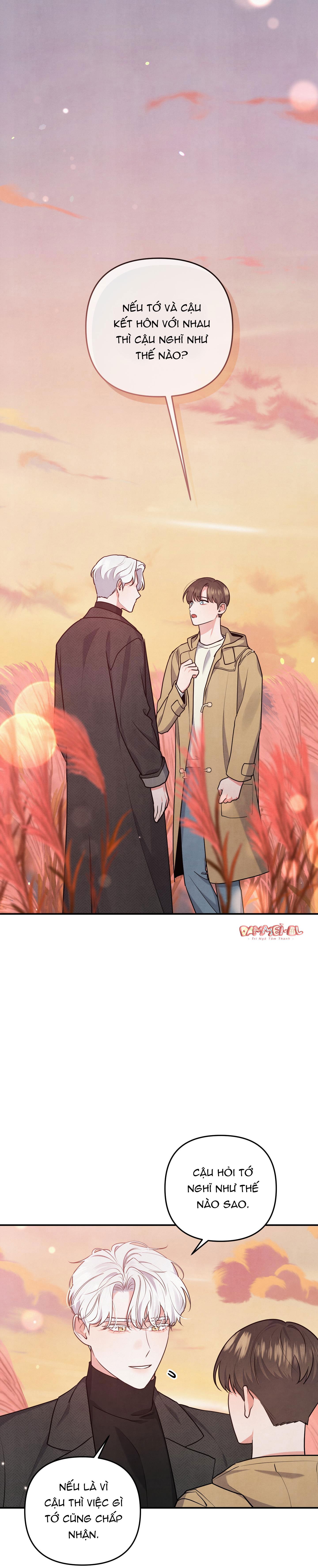 mối quan hệ ngu ngốc chapter 27 1