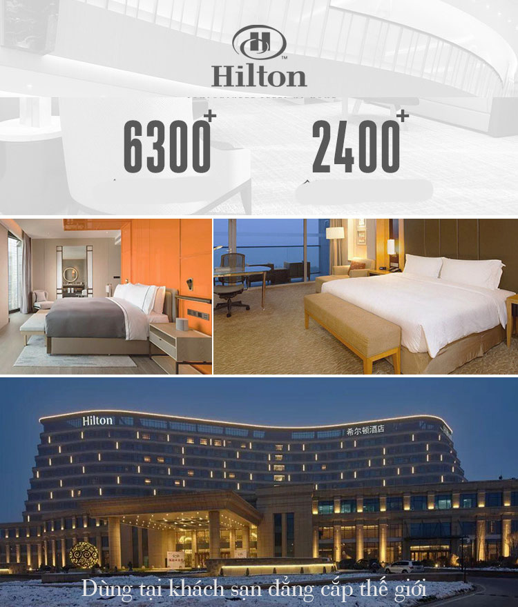 Ruột gối lông vũ cao cấp tiêu chuẩn khách sạn Hilton