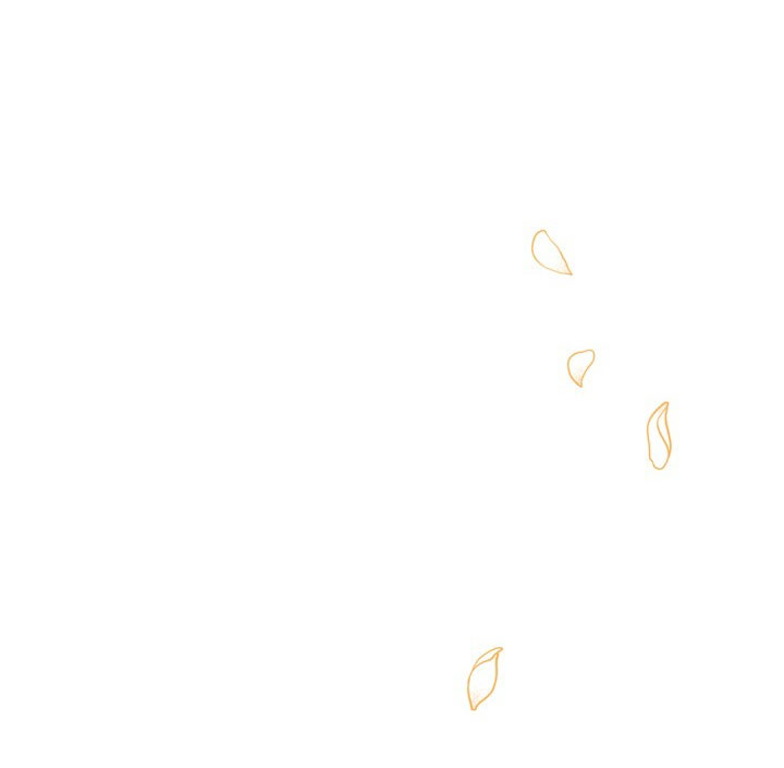 cách che giấu đứa con của hoàng đế chapter 27 57