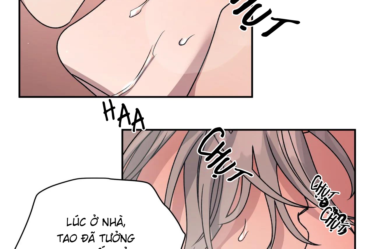 ám ảnh pheromone chapter 64 9