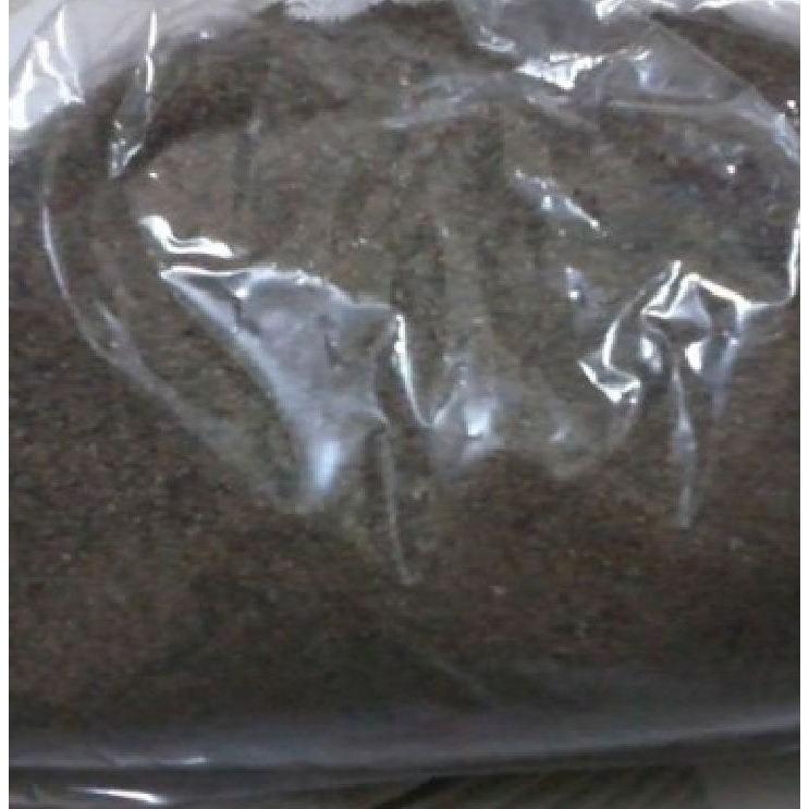 Hạt giống cây Ích mẫu -  50 hạt/gói