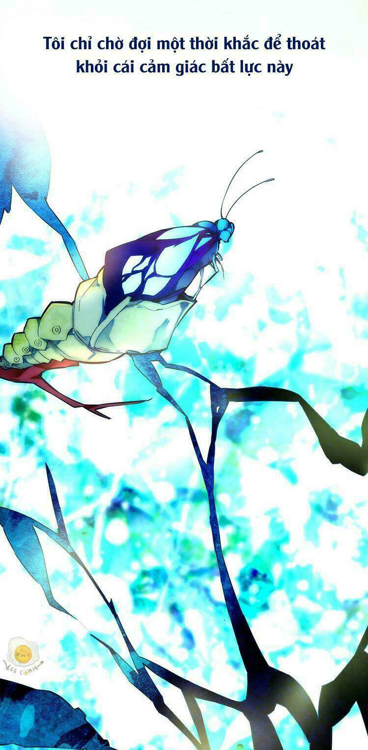 nở rộ trên bụi gai chapter 1 6